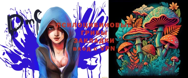 индика Новодвинск