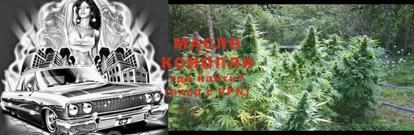 индика Новодвинск