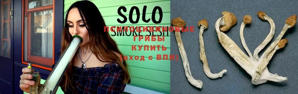 прущие крисы Новозыбков