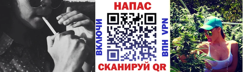 Бошки Шишки семена  Купить где  Барнаул 